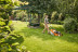 Газонокосилка STIHL RM 443 бензиновая в Санкт-Петербурге