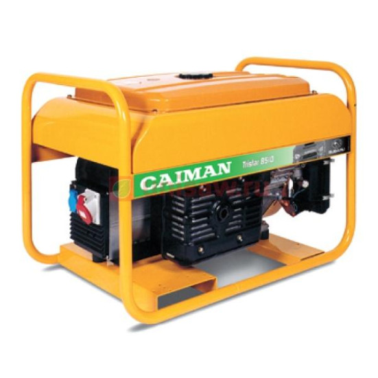 Бензогенератор Caiman Tristar 8510MTXL27 в Санкт-Петербурге