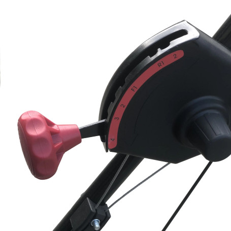 Подметальная машина бензиновая EVOline SWG 620-160 в Санкт-Петербурге