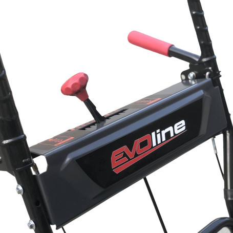 Подметальная машина бензиновая EVOline SWG 620-200 в Санкт-Петербурге