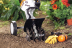 МультиМотор STIHL ММ 56 в комплекте с BF-MM в Санкт-Петербурге