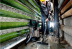 Универсальный пылесос Metabo ASA 30 L PC Inox 602015000 в Санкт-Петербурге
