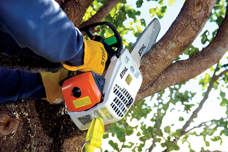 Бензопила STIHL MS 193 T 14" в Санкт-Петербурге