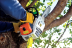Бензопила STIHL MS 193 T 14" в Санкт-Петербурге