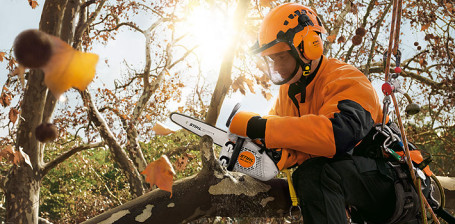 Бензопила STIHL MS 150 TC-E 12" 11460113000k в Санкт-Петербурге