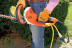 Кусторез электрический STIHL HSE 71 (60см) 48120113513 в Санкт-Петербурге