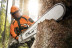 Бензопила STIHL MS 661 20" 11442000003 в Санкт-Петербурге