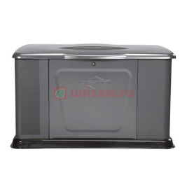Генератор газовый Briggs & Stratton 11000