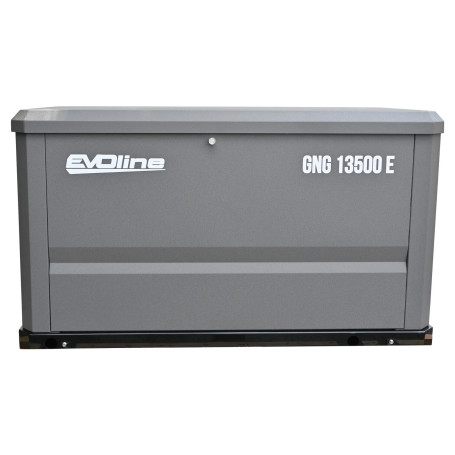 Газовый генератор EVOline GNG 13500 E в Санкт-Петербурге