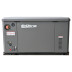 Газовый генератор EVOline GNG 13500 E в Санкт-Петербурге