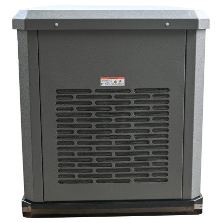 Газовый генератор EVOline GNG 13500 E в Санкт-Петербурге