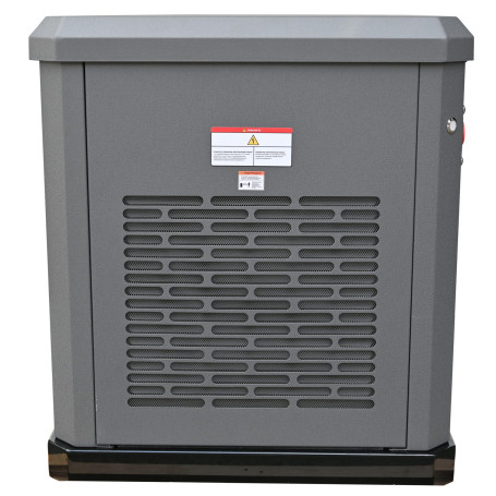 Газовый генератор EVOline GNG 13500 E в Санкт-Петербурге