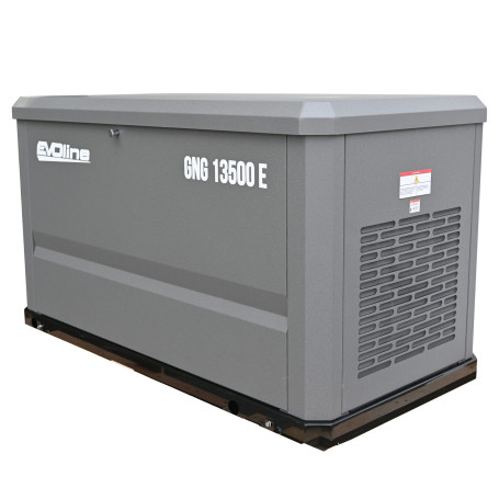 Газовый генератор EVOline GNG 13500 E в Санкт-Петербурге