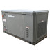 Газовый генератор EVOline GNG 13500 E в Санкт-Петербурге