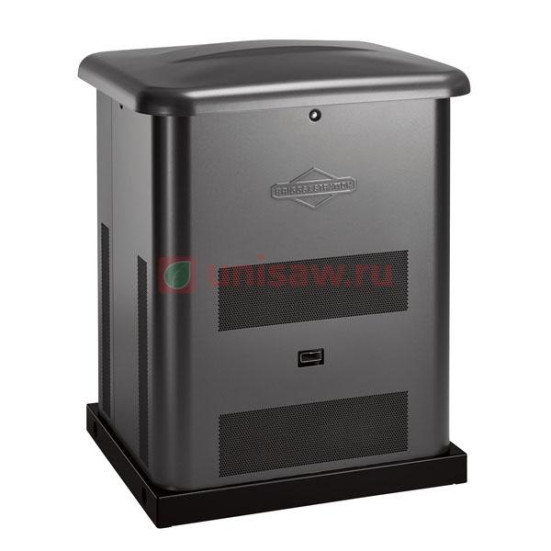 Генератор газовый Briggs &amp; Stratton 8000 в Санкт-Петербурге