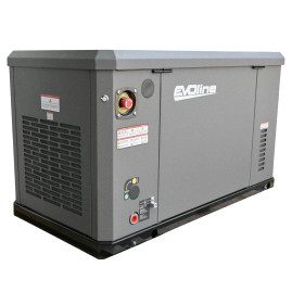 Газовый генератор EVOline GNG 19000 E