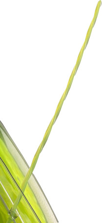 Витая леска для триммера Greenworks 2,4 мм в Санкт-Петербурге