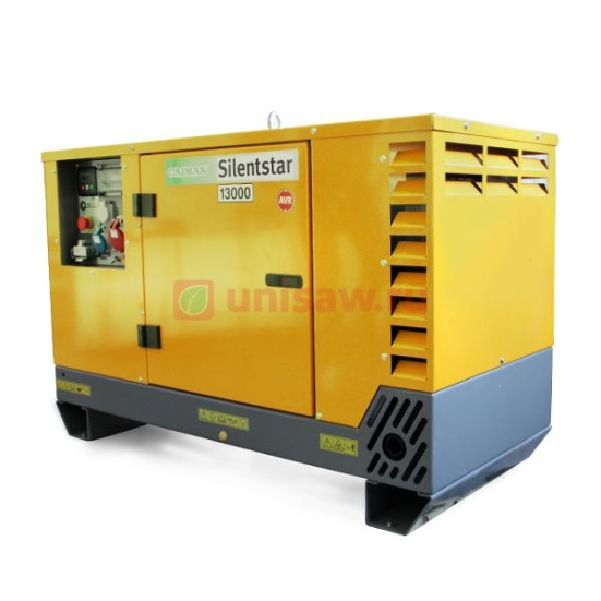 Дизельный генератор Caiman SILENTSTAR 13000D T AVR YN в Санкт-Петербурге