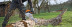 Бензопила STIHL MS 211 14" 11392000009 в Санкт-Петербурге