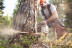 Бензопила STIHL MS 230 C-BE 16" 11232000312 в Санкт-Петербурге