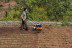 Культиватор STIHL MH 685 в Санкт-Петербурге
