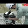 Вибротрамбовка Mikasa MT-76D в Санкт-Петербурге