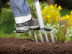 Вилы Terraline™ садовые GARDENA 03781-24.000.00 в Санкт-Петербурге