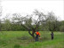 Высоторез STIHL HT 131 41822000092 в Санкт-Петербурге