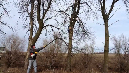 Высоторез STIHL HT 131 41822000092 в Санкт-Петербурге