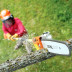 Высоторез STIHL HT 131 41822000092 в Санкт-Петербурге