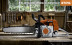 Бензопила STIHL MS 250 16" 11232000831 в Санкт-Петербурге