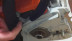 Бензопила STIHL MS 250 16" 11232000831 в Санкт-Петербурге