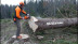 Бензопила STIHL MS 500i в Санкт-Петербурге