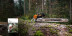 Бензопила STIHL MS 500i в Санкт-Петербурге