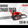 Бензиновая цепная пила EVOline CSG 46-16 ES в Санкт-Петербурге