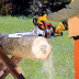 Бензопила STIHL MS 180 16" C-BE в Санкт-Петербурге