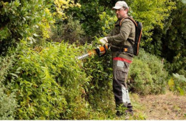 Садовые ножницы аккумуляторные STIHL НSA 94 T 75 см без аккумулятора
