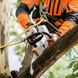 Аккумуляторная цепная пила STIHL MSA 161 T 12" (30см) 1/4"p 65 зв без аккумулятора