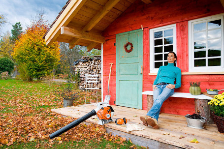 Воздуходувка бензиновая STIHL BG 50 42290111723 в Санкт-Петербурге