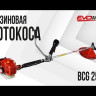 Бензиновая мотокоса EVOline BCG 25 ES в Санкт-Петербурге