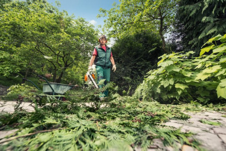 Воздуходувка бензиновая STIHL BG 86 42410111732 в Санкт-Петербурге