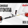 Бензиновая мотокоса EVOline BCG 33 ES в Санкт-Петербурге