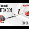Бензиновая мотокоса EVOline BCG 36 (4T) в Санкт-Петербурге