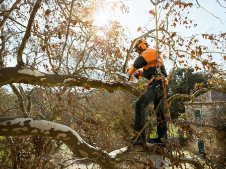 Бензопила STIHL MS 151 TC-E 12" 11462000058 в Санкт-Петербурге