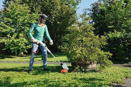 Триммер электрический STIHL FSE 60 в Санкт-Петербурге