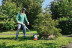 Триммер электрический STIHL FSE 60 в Санкт-Петербурге
