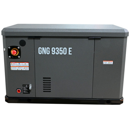 Газовый генератор EVOline GNG 9350 E в Санкт-Петербурге