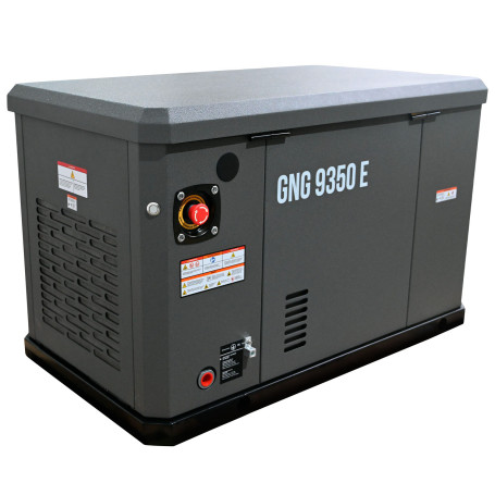 Газовый генератор EVOline GNG 9350 E в Санкт-Петербурге