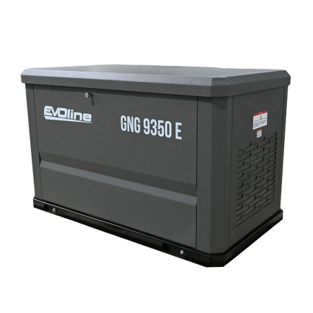 Газовый генератор EVOline GNG 9350 E в Санкт-Петербурге