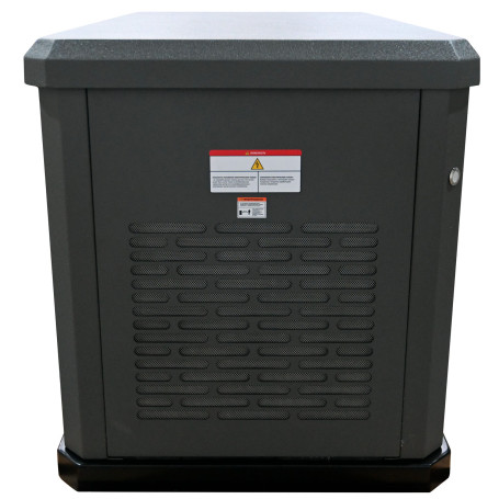 Газовый генератор EVOline GNG 9350 E в Санкт-Петербурге